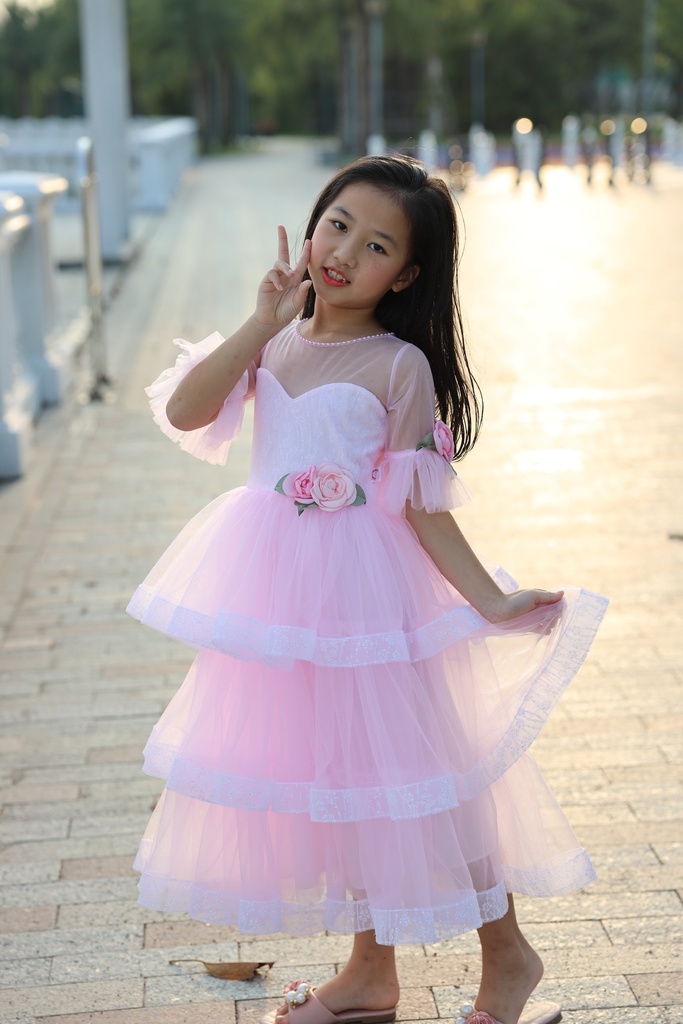 Princess Dress - PD24005
