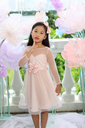 Váy trẻ em Little Star- LDC004