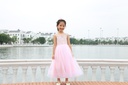 Váy công chúa - PD24009